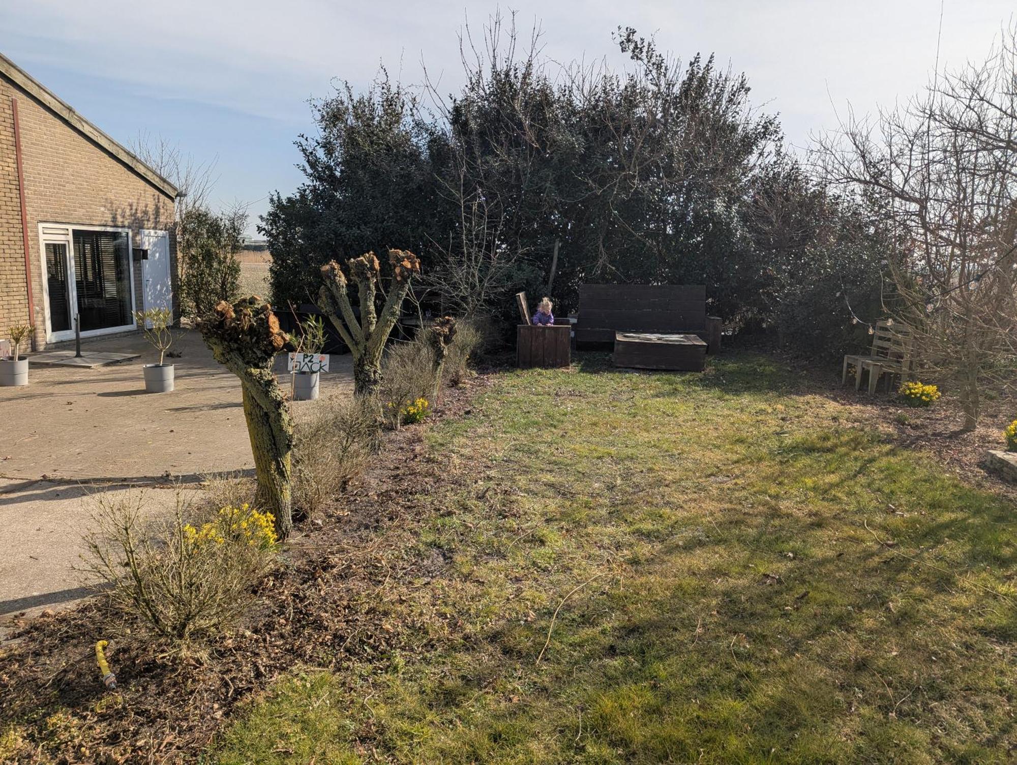 Villa The Tulip Julia Julianadorp Exterior foto